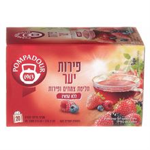 פומפדור חליטת צמחים פירות יער 20 יחידות / Pompadour סופר מדיקה
